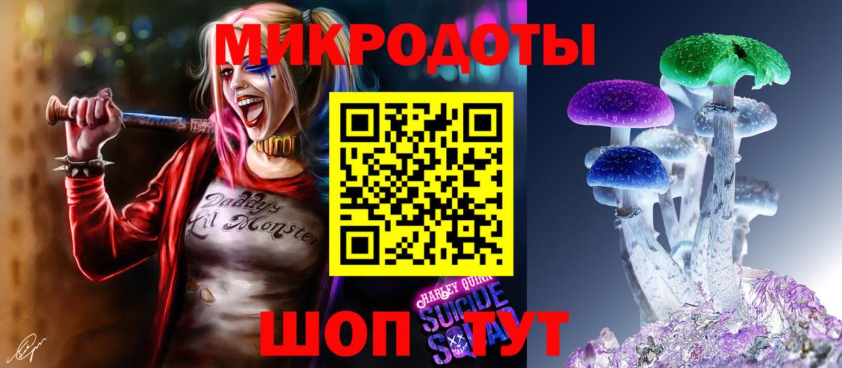 Удомля  Галлюциногенные грибы Psilocybe  Вход с VPN 